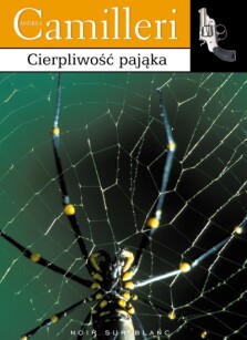 Okładka książki Cierpliwość pająka