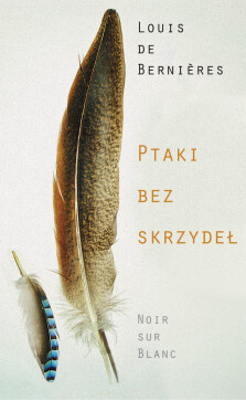 Okładka książki Ptaki bez skrzydeł