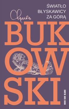 Okładka książki Światło błyskawicy za górą