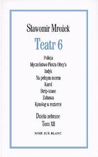 Okładka książki Teatr 6