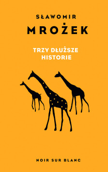 Okładka książki Trzy dłuższe historie
